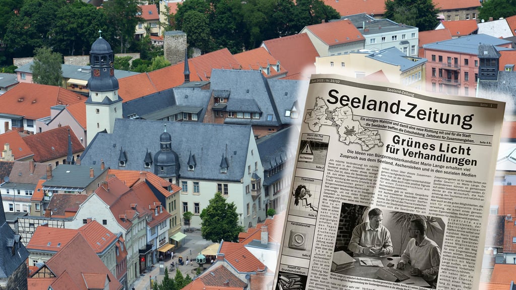 Viel Kritik aus den Reihen der Stadträte hat Ascherslebens Oberbürgermeister Steffen Amme (Widab) wegen seiner Gespräche mit Seeland-Bürgermeisterkandidat Mario Lange bekommen.