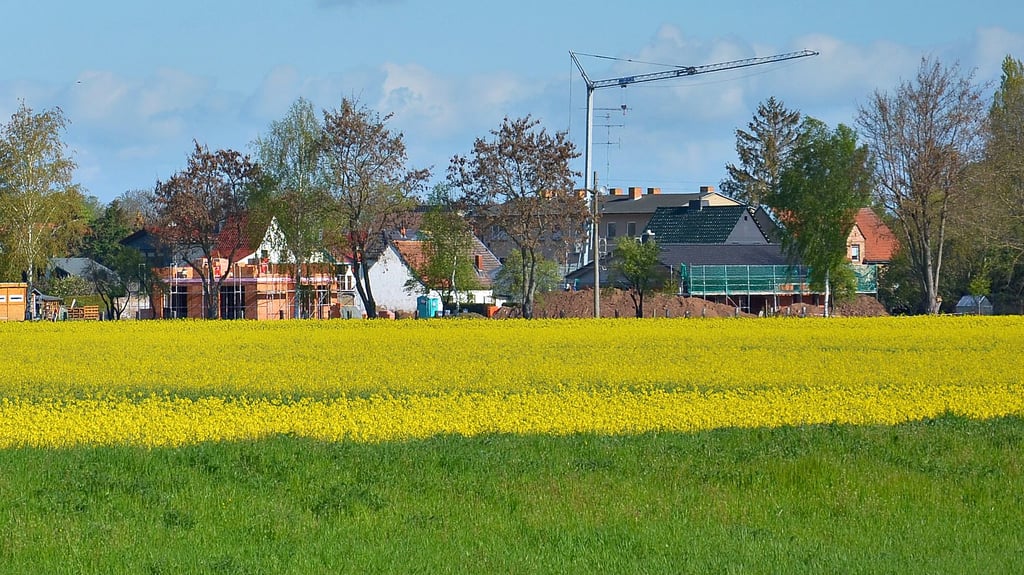 Ein Baukran dreht sich über dem neuen Wohngebiet am Güstener Burgwall. Ginge es nach dem hiesigen Bürgermeister, könnten es ruhig mehr sein. Drei von fünf Bauwilligen hier haben allerdings ihre Pläne vorerst auf Eis gelegt.