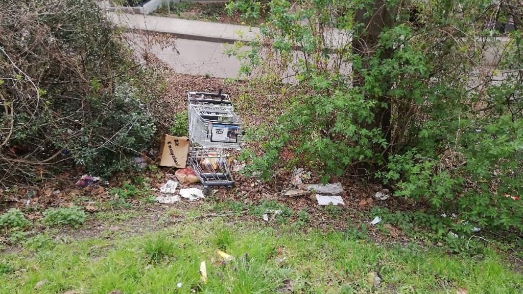 So vermüllt sah der Hang in der Voßstraße in Halle im vergangenen Jahr aus.