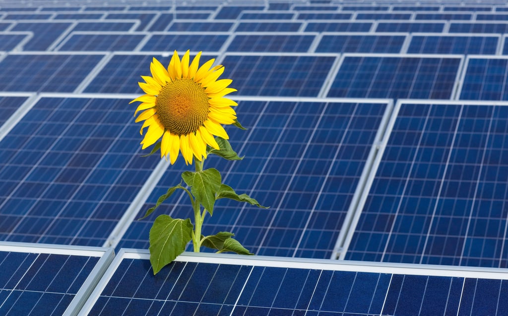 Auch in der Gemeinde Elbe-Parey soll es künftig Freiflächenphotovoltaikanlagen geben.
