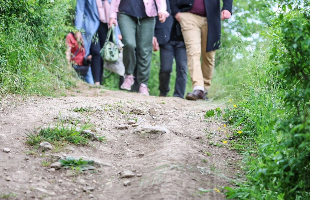 Mehrere Menschen wandern gemeinsam.