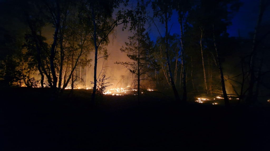 Flammen lodernden bei einem Waldbrand auf einem ehemaligen Truppenübungsplatz bei Jüterbog.