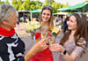 Bernburgs Oberbürgermeisterin Silvia Ristow (von links) stößt mit Rosenkönigin Mona Mauch und deren Vorgängerin Carla Talia Eckert an.
