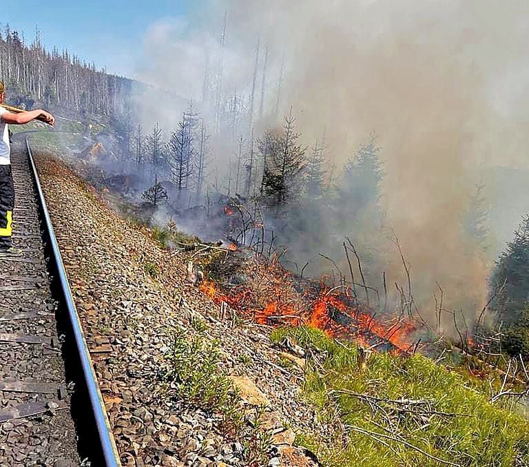 Waldbrand Am Brocken: Feuer Lodert Im Nationalpark Harz - Feuerwehr Und ...