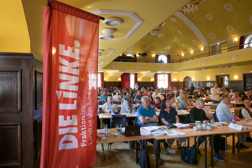 Sachsen-Anhalts Linke diskutierte bei einem Parteitag in Aschersleben sehr emotional über das Lina E.-Urteil.