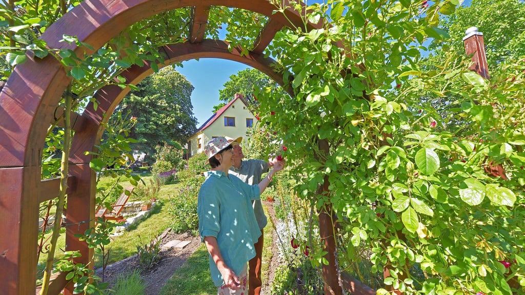 Beim Tag der offenen Gärten in Aschersleben zeigten Ines und Robert Malecha in der Finkenlust erstmals ihren naturnahen Garten.