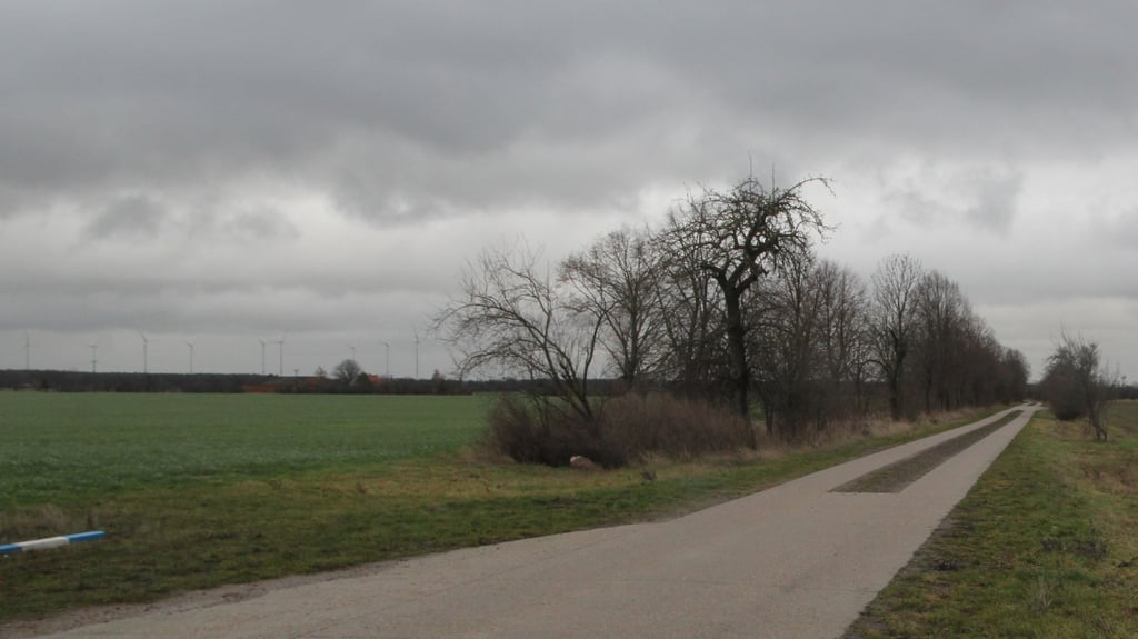 Weitere ländliche Wege mit Betonspuren sollen in Elbe-Parey ausgebaut werden.