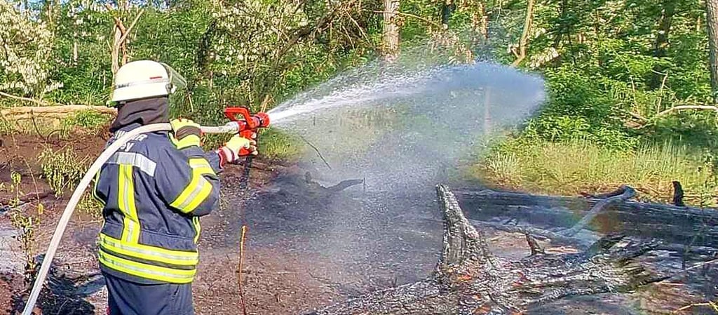 Am Sonntagnachmittag wurden die Gemeindefeuerwehren Elbe-Parey und Jerichow zu einem Waldbrand in Ferchland gerufen.