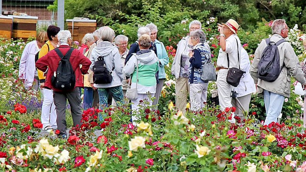 In Sangerhausen wird darüber diskutiert, wie mehr Besucher in den Rosengarten kommen könnten.