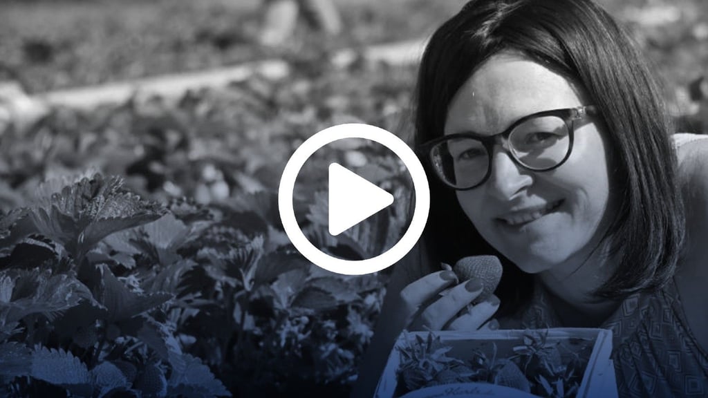 Reporterin Sabine Lindenau im Erdbeerfeld an der Halberstädter Chaussee in Magdeburg.