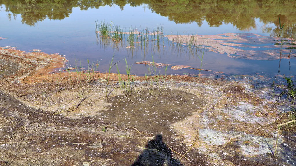 Gladow's Loch in Parey lädt derzeit nicht gerade zum Baden ein. Foto: Bettina Schütze