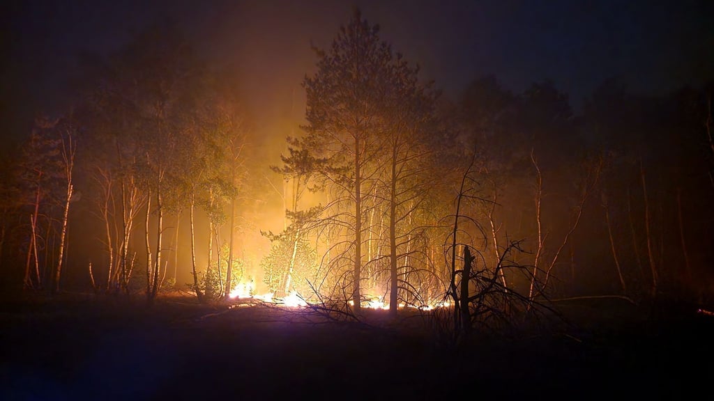 Flammen lodernden bei einem Waldbrand auf einem ehemaligen Truppenübungsplatz bei Jüterbog.
