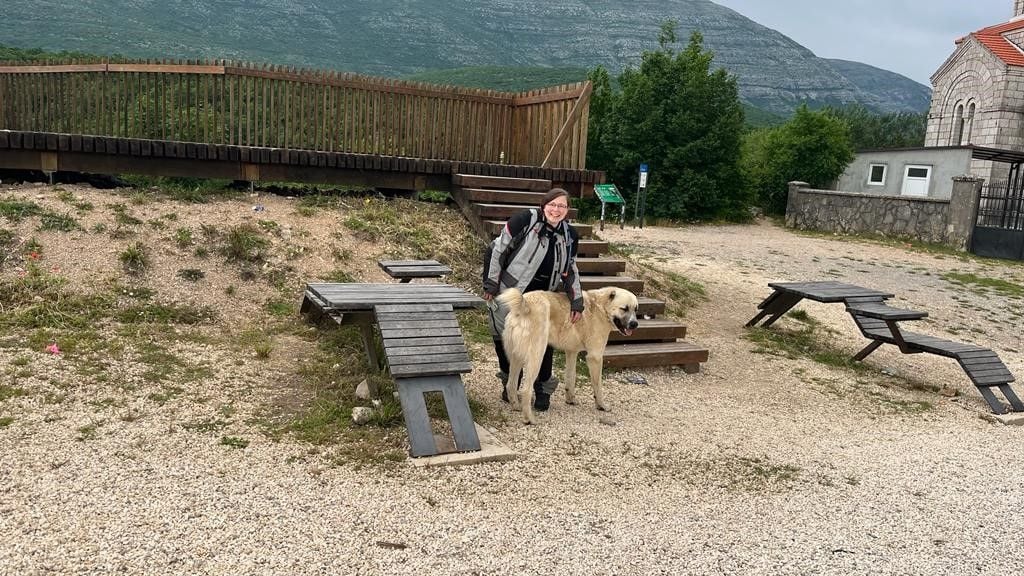 Juliane Brych streichelt einen freilaufenden Hund.