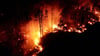 Flammen schlagen bei Nacht in einem Waldstück nahe Jüterbog in die Höhe.