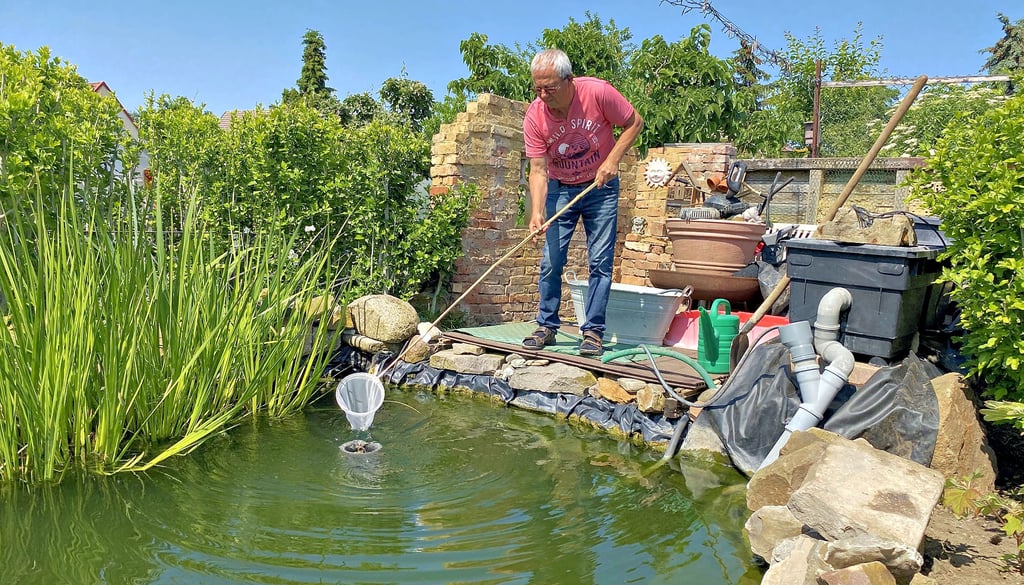 Gartenteich, Blattläuse und Co. Schönebeck Was Kleingärtner im Juni