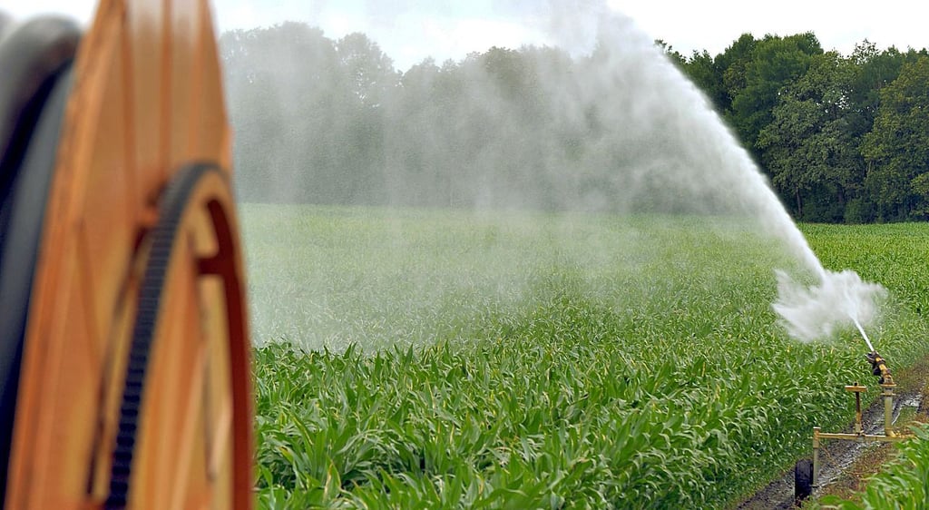 Sinkender Grundwasserspiegel und Beregnung in der Landwirtschaft: eine Herausforderung unserer Zeit.