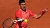 Novak Djokovic steht zum zwölften Mal im Halbfinale der French Open.