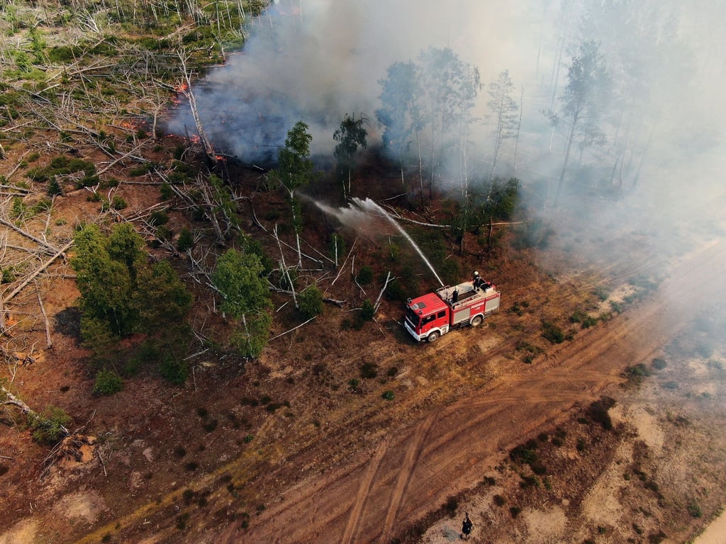 Einsatzkräfte der Feuerwehr bekämpfen in einem Waldstück nahe Jüterbog das Feuer.