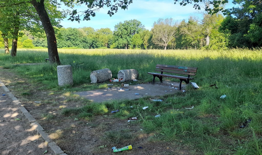 "Hirnlose Verwüstung" nennt Volksstimme-Leserin Marina Babick solche Zustände im Volkspark.