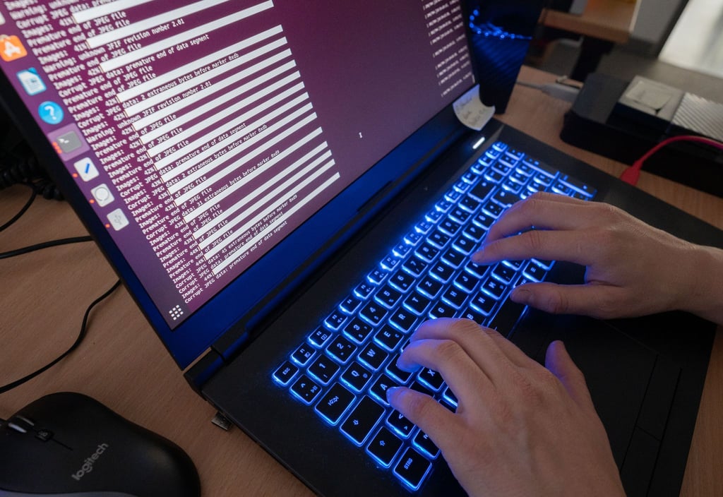 Eine Wissenschaftlerin des Landeskriminalamtes Niedersachsen arbeitet an Computerbildschirmen.
