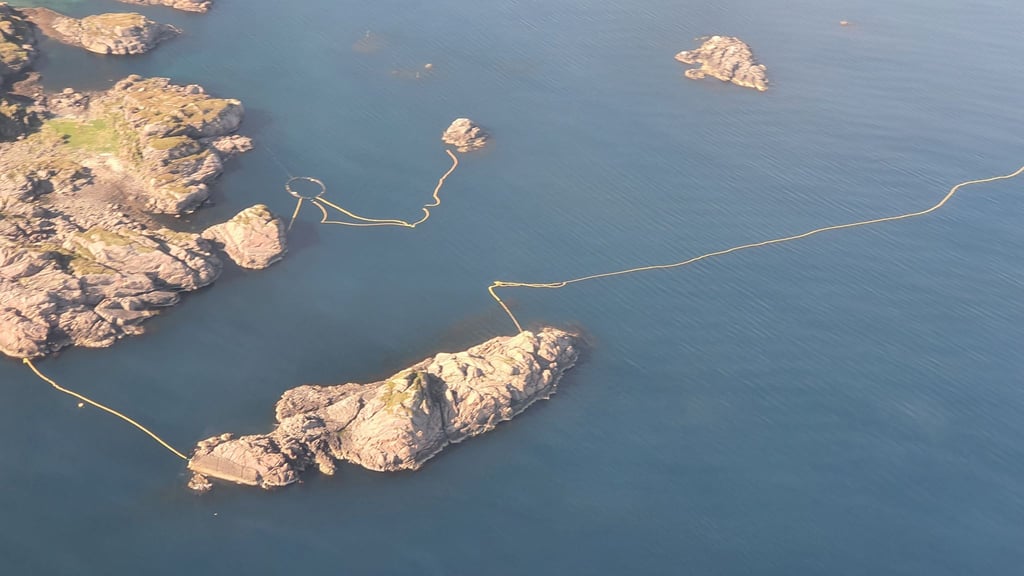 Auf den Lofoten im hohen Norden Norwegens ist ein Zwergwal ums Leben gekommen.