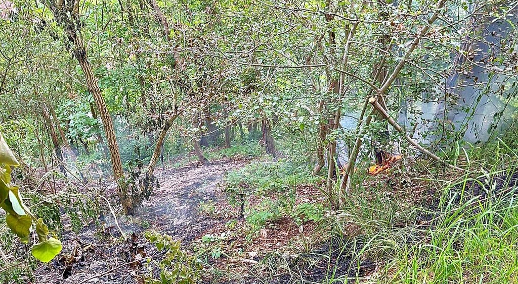 Am Lieseberg in Wippra hat der Wald gebrannt.