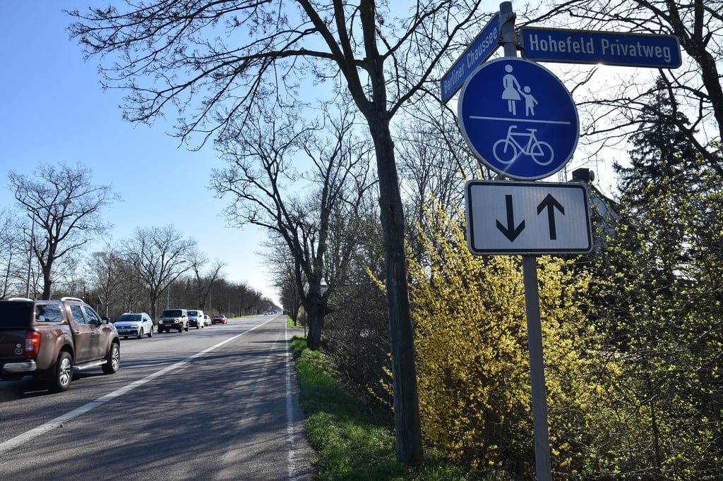 Der Geh- und Radweg an der Berliner Chaussee in Magdeburg verläuft direkt neben der Fahrbahn. Es gibt die Forderung nach einer besseren Abtrennung.