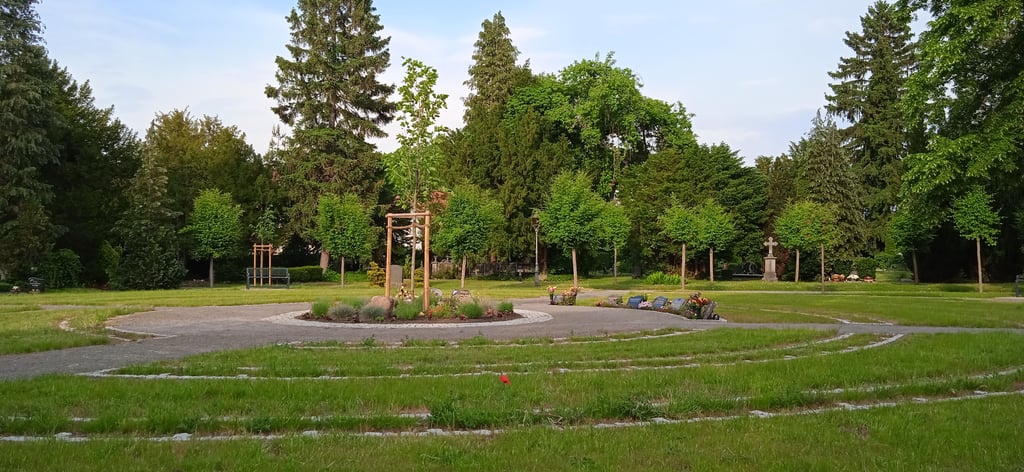 Die Baumbestattung auf dem Friedhof Ballenstedt ist ein neues Angebot der Stadt. Die Urnen werden rund um einen kleinen Gedenkplatz bestattet. Grabplatten erinnern an die Verstorbenen.