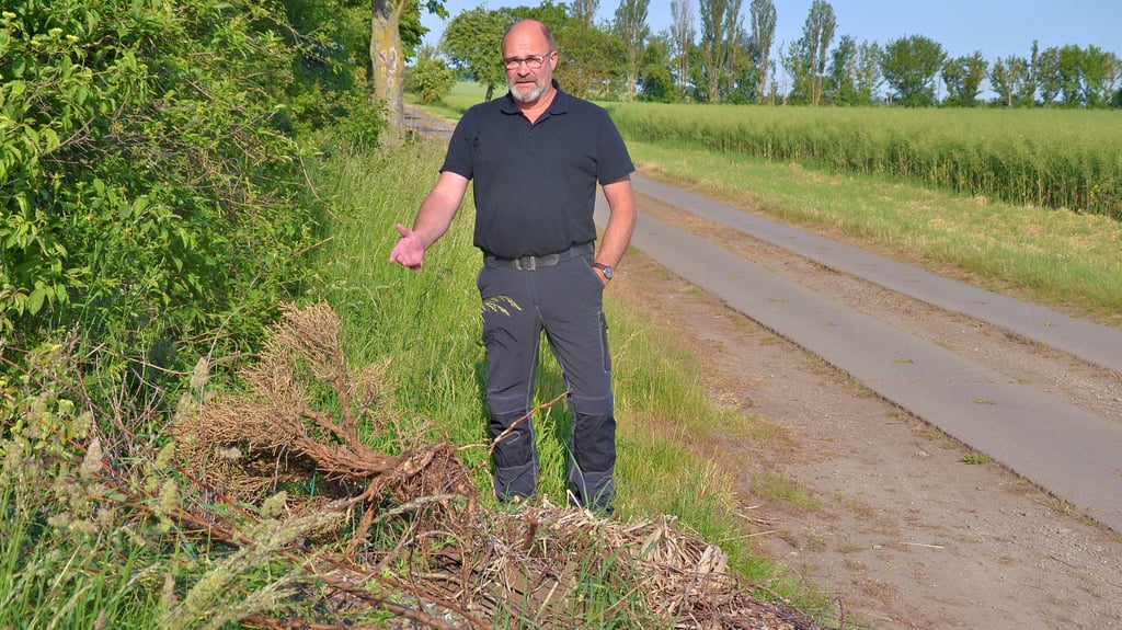 Haufen mit Gartenabfällen finden die Landwirte regelmäßig: Der Langenweddinger Landwirt Christian Beese ist fassungslos und wütend angesichts solcher Umweltfrevler.