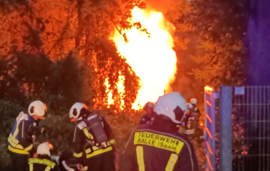 Lichterloh brannte am Mittwochabend ein Bauwagen auf dem Gelände des Pfadfinderstamms „Royal Rangers“.