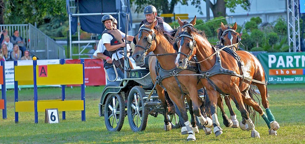 Auch ein Hindernisfahren der Gespanne ist in Westdorf geplant.