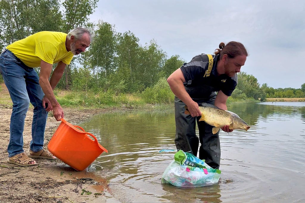 Der Karpfen kann sich freuen. Er ist Marius Hennicke bei der Bestandsaufnahme im Salbker See I ins Netz gegangen und wird in den Salbker See II umgesetzt. Edgar Appenrodt setzt weitere Fische ein.