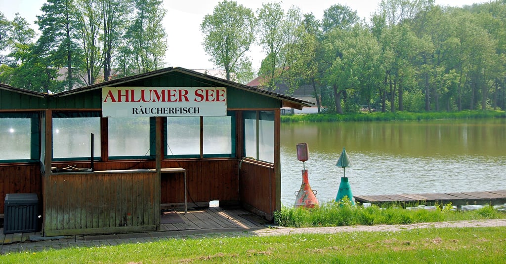 Am Ahlumer See kann ab dem heutigen Freitag wieder frischer Fisch an Land gezogen werden. Die Gemeinde hat für die Bewirtschaftung des Gewässers einen Pächter gefunden.
