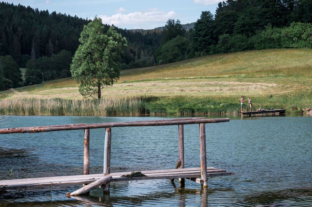 Ein Steg führt über den See Krellsen.