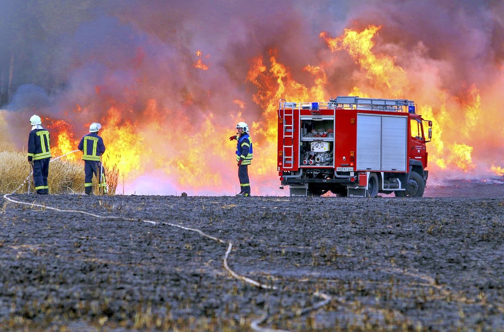 Die Feuerwehren, die von Kreisbrandmeister Peter von Geyso und Franz Salm sehr für ihre Leistungen gelobt werden, werden wohl in diesem Sommer wie auch in den Jahren zuvor wieder häufig im Kreis Wittenberg im Einsatz sein.