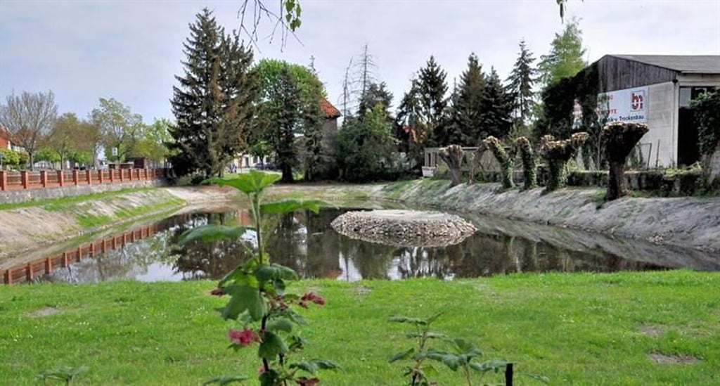 Ein Wohnquartier am Dorfteich - das soll in Mieste entstehen, und zwar auf dem Gelände des ehemaligen Sägewerkes, hier links im Foto.