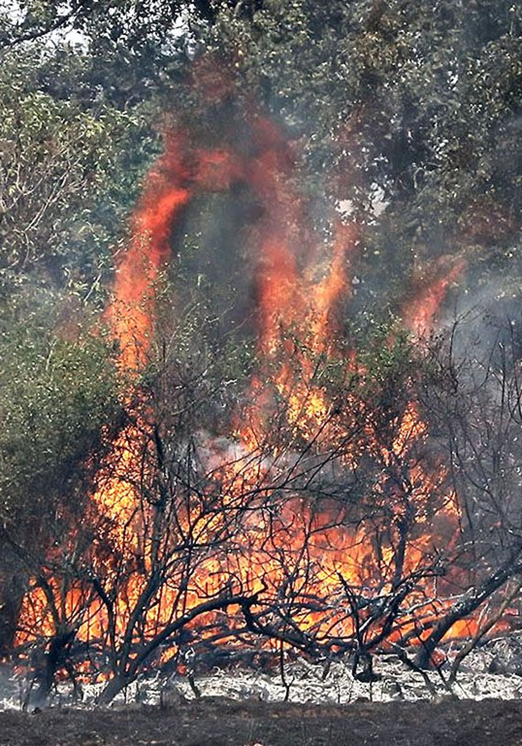 Oft genügt ein Funken und alles steht in Flammen.