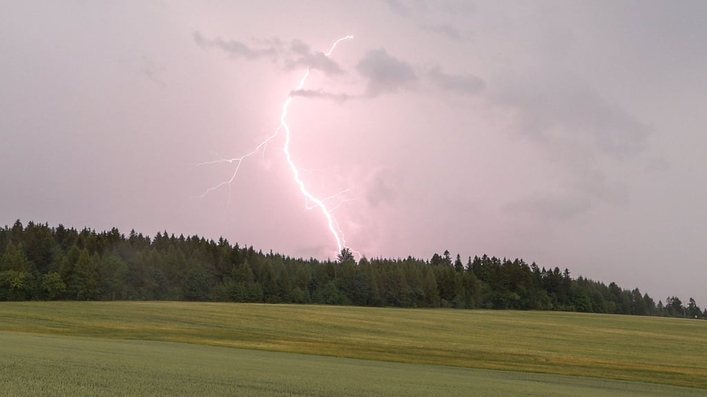 Der Deutsche Wetterdienst warnt am Samstag vor Gewittern in Sachsen-Anhalt.