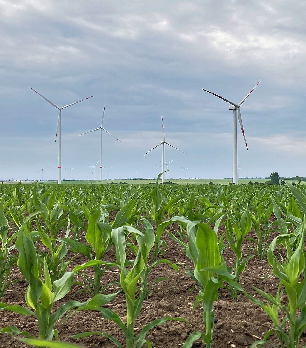 Im Windpark bei Drosa, Dornbock und Kleinpaschleben sollen 15 Windenergieanlagen abgebaut werden, um Platz für neue zu machen.