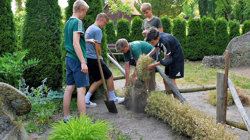 Achtklässler der Jeetzeschule Salzwedel entfernten einen Teil des Buchsbaums und schnitten Pflanzen zurück.