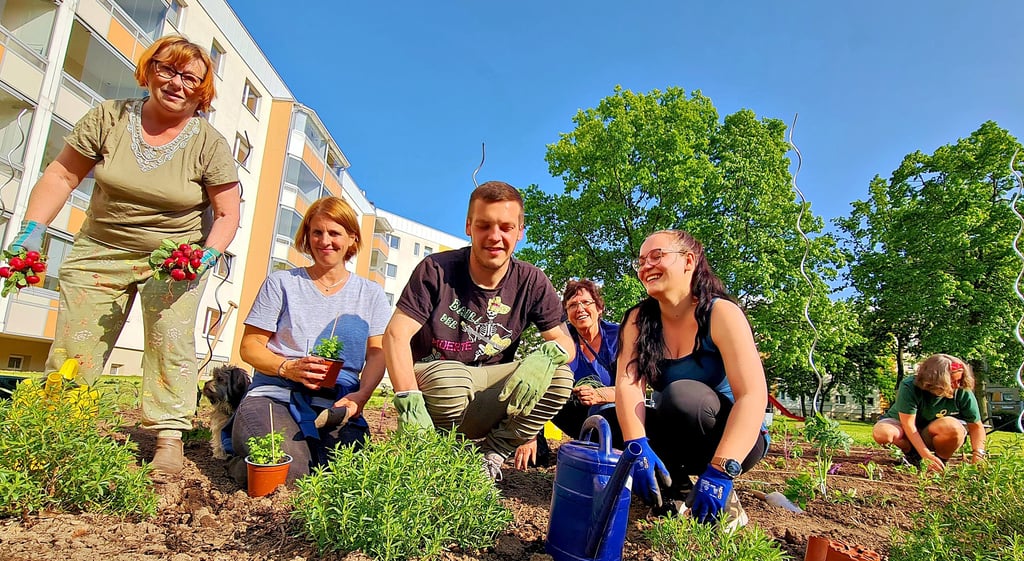 Es zieht Leben ein in den tristen Innenhof: Im Wernigeröder Plattenbaugebiet entsteht ein Mietergarten.