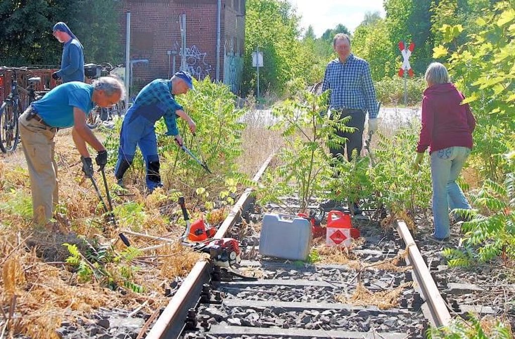 Torsten Hensel (2. von rechts) vom Verein Jeetzeltalbahn mit Aktivisten beim Freischneiden von Bahngleisen in Beetzendorf im August 2022.