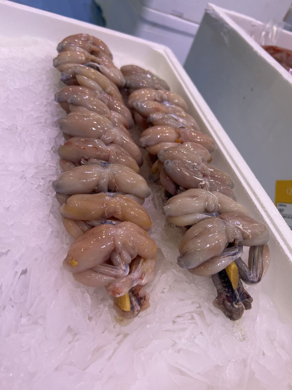 Froschschenkel liegen auf dem Markt Marché de Rungis in Paris.
