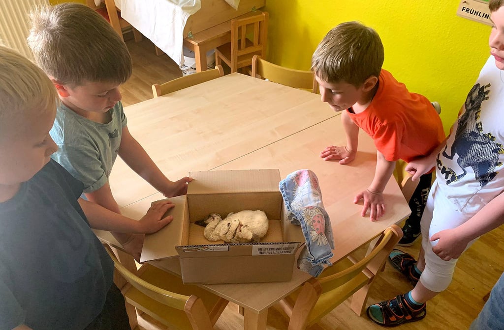 Dieser Jungstorch wurde in Walsleben (Altmark) aus dem Nest geworfen. Kindergartenkinder sahen es und die Rettungsaktion begann. Auch wenn der Storch hier tot aussieht, er lebt.