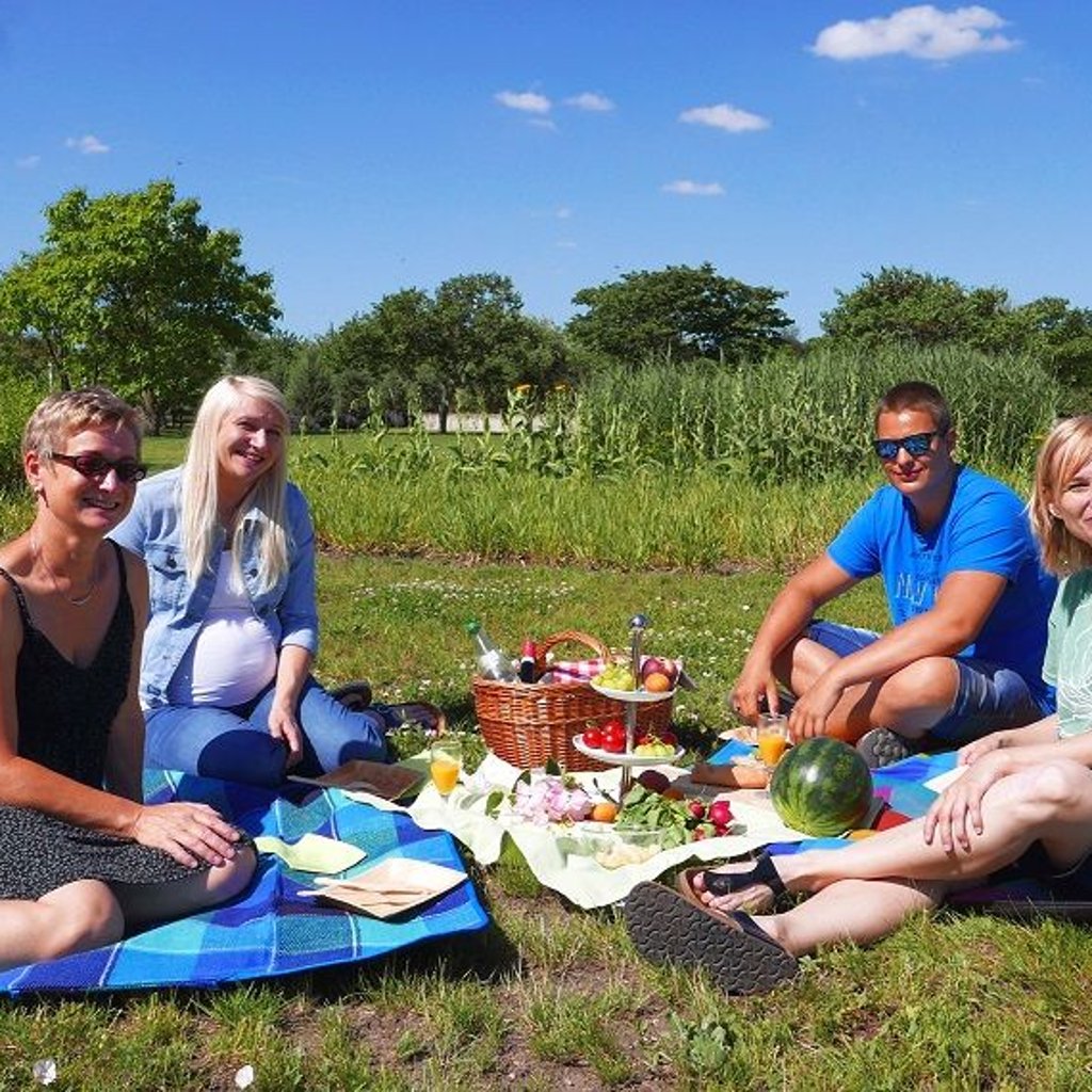 Picknick im Elbauenpark