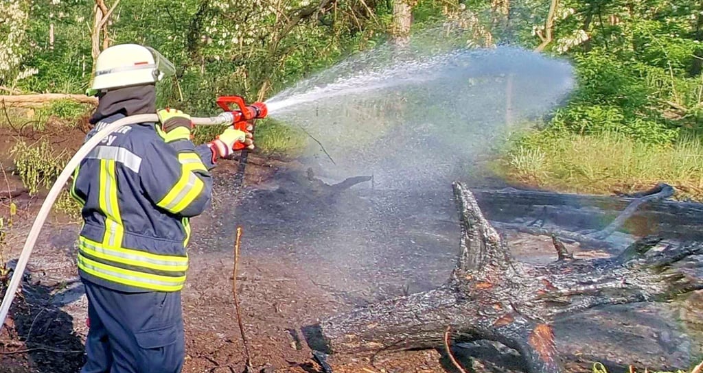 Bereits Sonntagnachmittag wurden die Gemeindefeuerwehren Elbe-Parey und Jerichow zu einem Waldbrand in Ferchland gerufen.