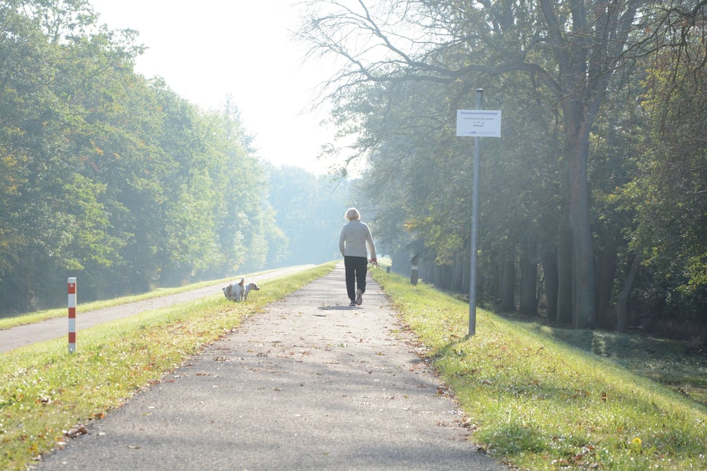 Der Elberadweg bei Ranies ist seit mehr als zweieinhalb Jahren gesperrt, weil schwache Bäume eine Gefahr für Radfahrer oder Fußgänger darstellen. Doch es hat sich etwas getan, und eine Freigabe des weges steht kurz bevor. Doch es gibt auch einen Wermutstropfen.