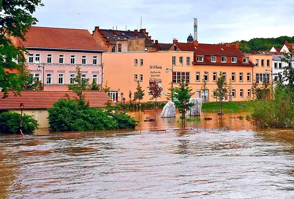 Der Bootsverleih (am linken Bildrand) und die angrenzende Grünanlage stehen beim Saalehochwasser 2013 komplett unter Wasser.
