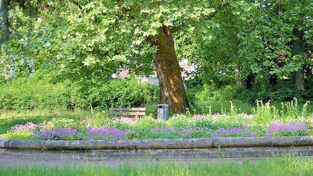 Die Zerbster Parks sollen neu gestaltet werden - auch der Park am Walter-Rathenau-Platz, der seinen Springbrunnen zurück erhalten soll.