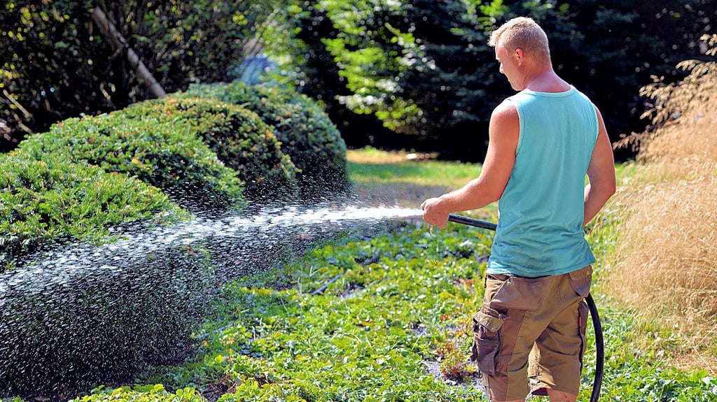 Bewässern von Parks und Grünanlagen: Ein Wasserentnahme Verbot könnte zumindest tagsüber im Landkreis Stendal bald Realität werden.